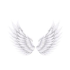 Fototapeta na wymiar White bird or angel wings, vector illustration.