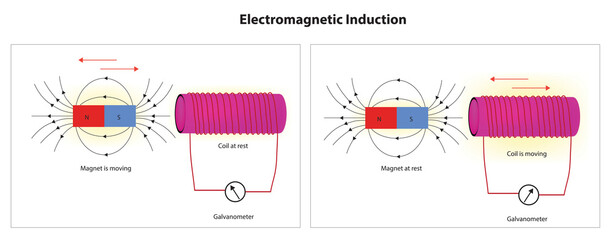 Biological illustration of electromagnetic induction