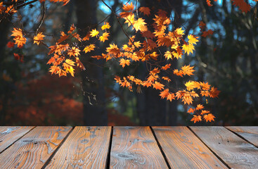 Naklejka na ściany i meble Empty dark wooden board in foreground and fall foliage in background