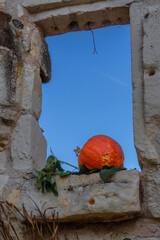 courge fenêtre