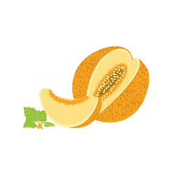 Vector simple isolated image of a melon, whole and lobes.