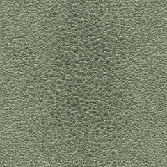 Genuine frog skin. The textured background of the frog skin is close. 3D-rendering
