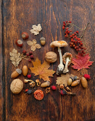 mushrooms, autumn leaves, nuts, acorns on rustic wooden background. symbol of autumn forest harvest season. fall time concept. top view