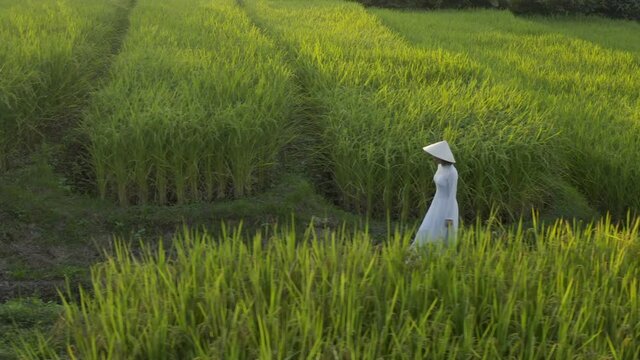 Young Woman Wearing Ao Dai Standing in Rice Paddy Vietnam