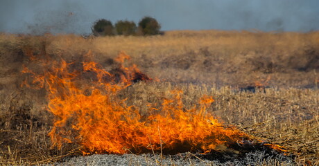 Close-up background of fire is rising from burning straw to black ash and smoke