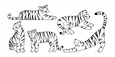 set with doodle tigers drawn with lines. Vector hand-drawn illustration
