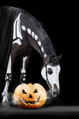 Horse with halloween skeleton decoration and pumpkin