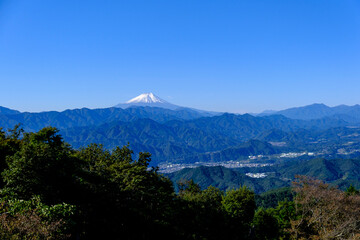 Fototapeta na wymiar 陣馬山からの富士山