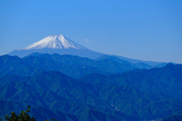 Fototapeta premium 陣馬山からの富士山