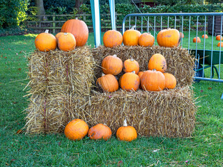 Pumpkins arranged on haystacks in a field
