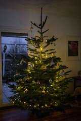 christmas tree in the night