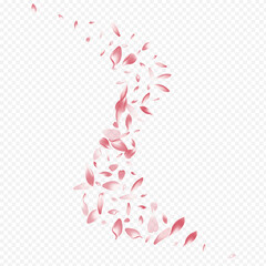 Red Heart Vector Transparent Background. Leaf