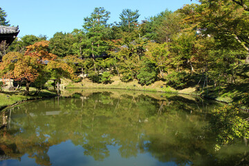 Fototapeta na wymiar 高台寺の池