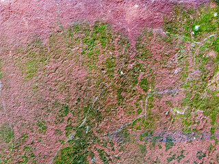 Mossy wall with red plastered surface