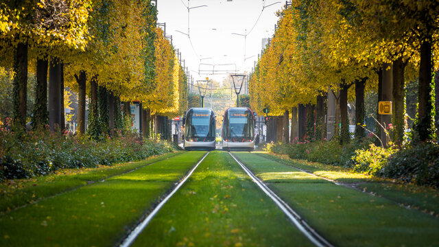 tramway in autumn in Strasbourg in France