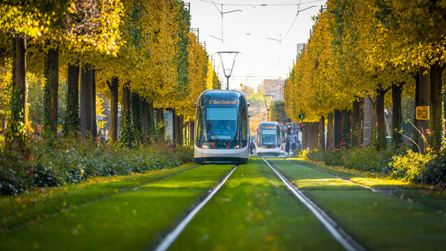 tramway in autumn in Strasbourg in France