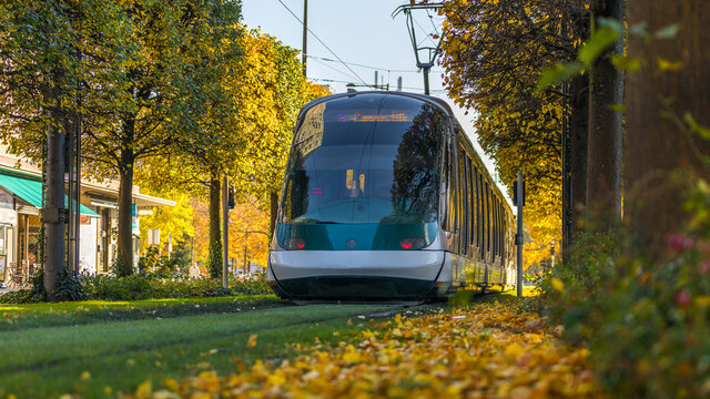 tramway in autumn in Strasbourg in France