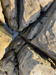 sea rock formation at the beach, Palm Beach NSW Australia 