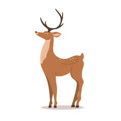 Cute noble sika deer. Reindeer with antlers on white background. Ruminant mammal animal. Vector illustration in flat cartoon style.
