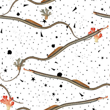 a beautiful and stunning repeated pattern of oceanic creatures called dder syngnathus ophidion in high definition free download perfect for fabrics, t-shirts, mugs, etc