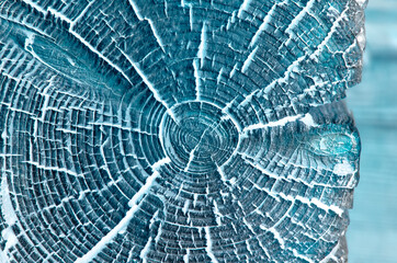 The texture of the cut of an old log