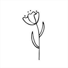 Hand-drawn flowers.Doodle style, sketch, drawing with floral floral elements, minimalism. Isolated. Vector illustration.