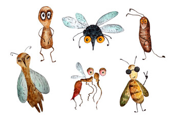 Illustrations of insects, fly, flea, mosquito, midge, moth