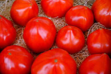 many fresh red tomatos - 466128246
