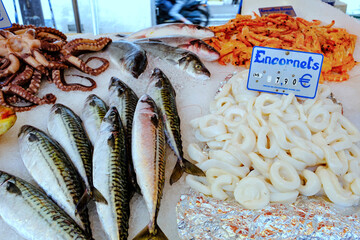 seafood at the market - 466128250