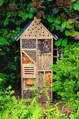 bug hotel for insects - 466128252