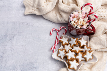 Gingerbread with mug of hot chocolate and christmas candy cane.