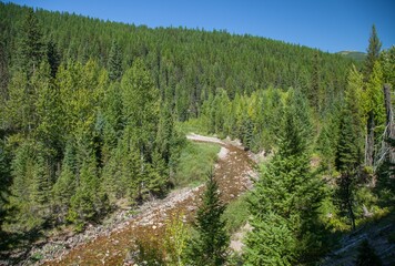 Creek in Great Bear Wilderness in Flathead Range, Montana