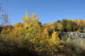 Fototapeta premium Autumn colours in an old quarry.