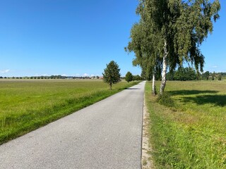 road in the field