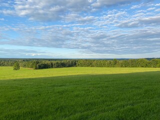 green field and blue sky