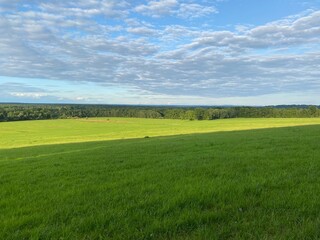 green field and blue sky