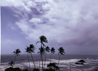 View of palm trees and the sea on a cloudy and stormy da