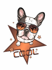 Cute french bulldog in sunglasses. Vector illustration in hand-drawn style . Image for printing on any surface	