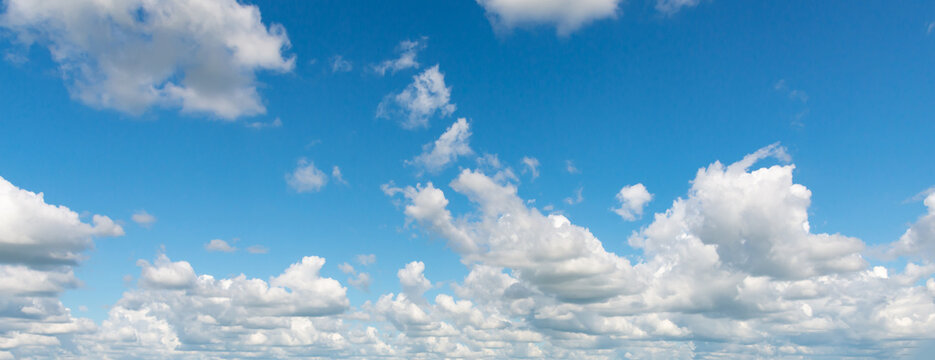 he bright blue sky above the rice fields in northeastern Thailand.Blue sky. rice fields.blue sky background with tiny clouds. panorama. © Mohwet