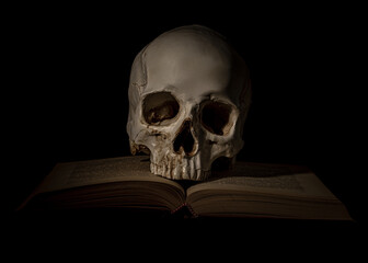 czaszka nad książką na ciemnym tle jako martwa natura - obrazy, fototapety, plakaty