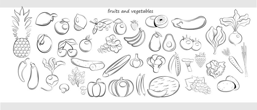 Set of fruits and vegetables on a white background. Line art style.