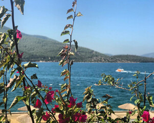 Bodrum Aegean Sea View