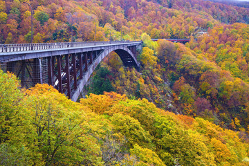 日本、青森県、城ヶ倉大橋の紅葉