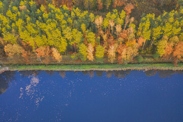 Staw hodowlany położony pośród lasów. Jest jesień, na drzewach liście mają żółty kolor. W tafli wody odbija się niebieskie niebo. Zdjęcie wykonane z wysokości przy użyciu drona.