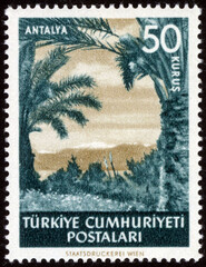 Republic of Turkey postage stamp. Republic of Turkey historical stamp. A postage stamp printed in Republic of Turkey.