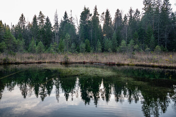 Reflection on pond