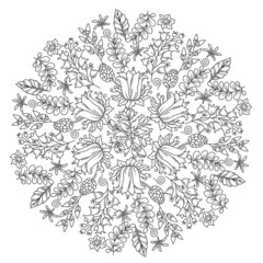 Hand drawn coloring page for kids and adults. Beautiful drawing with patterns and small details. Coloring book pictures. Botany, flowers, herbs, leaves. Mandala colouring