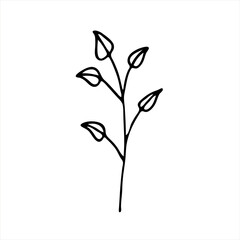 A painted branch with leaves. Doodle style, floral decor, greenery pattern, minimalism. Isolated. Vector illustration.