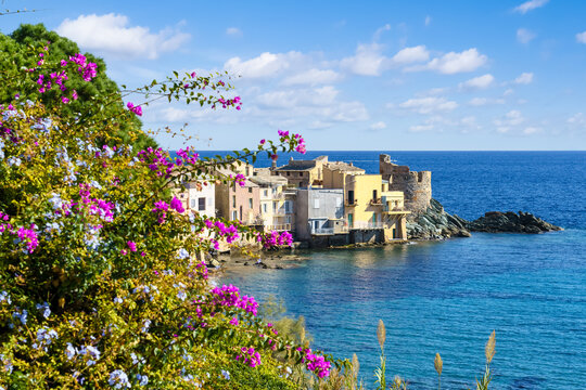 Landscape with Erbalunga, ancient village in Corsica, French