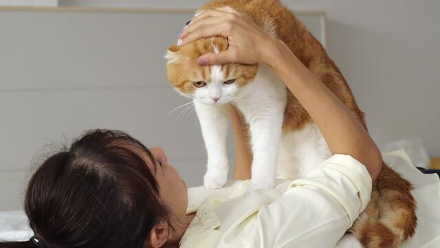 Cats are cute pets that everyone in the house loves. It's relaxing and happy when you're with a human being. Like women, man and children, cats love to give their owners hugs and kisses 